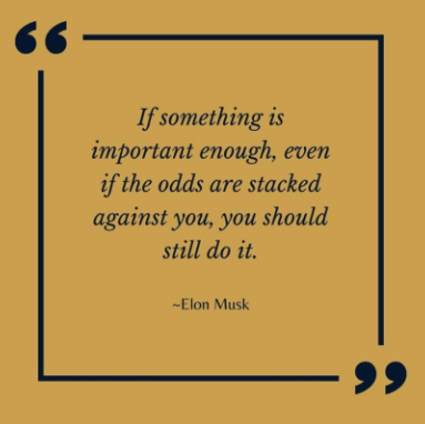 Elon Musk Qoute